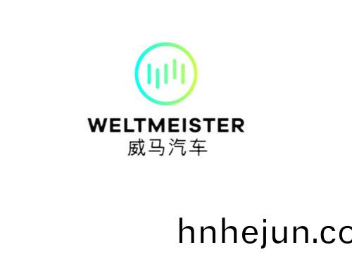 威馬(ma)汽(qi)車